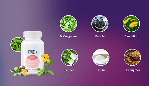 primebiome ingredients